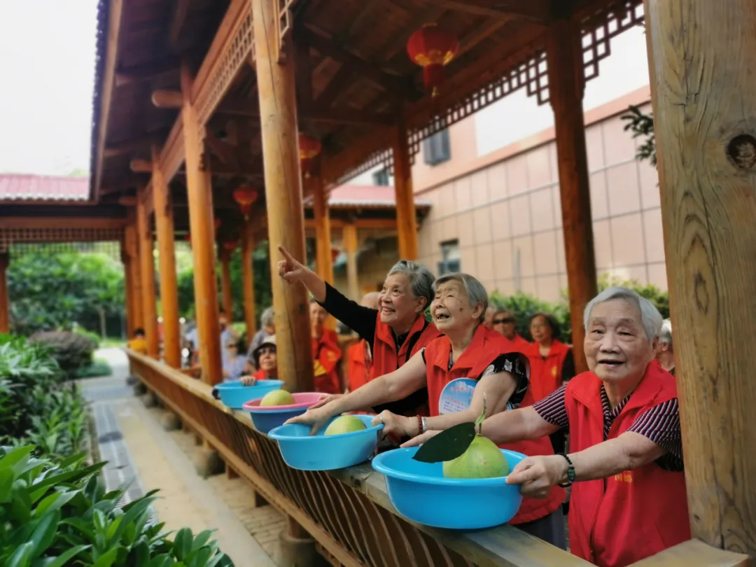 抵不住柚惑！福州这家养老院首届采摘节诞生