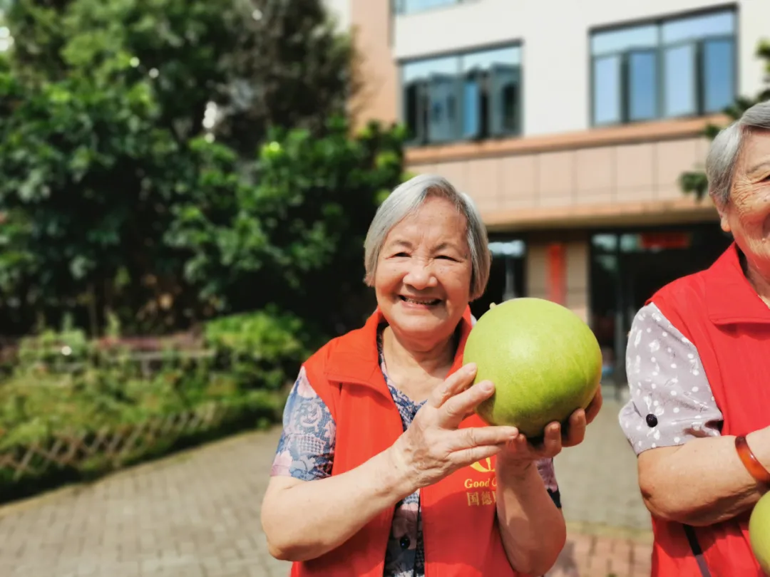 抵不住柚惑！福州这家养老院首届采摘节诞生