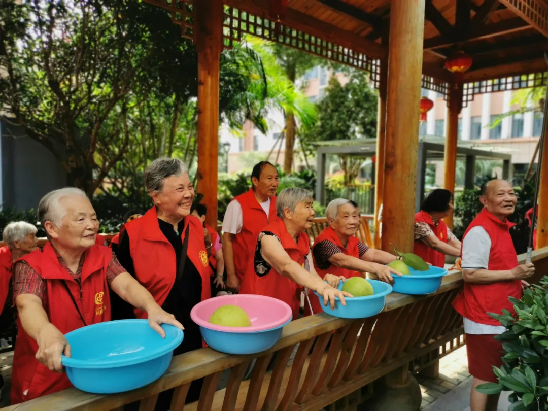 抵不住柚惑！福州这家养老院首届采摘节诞生