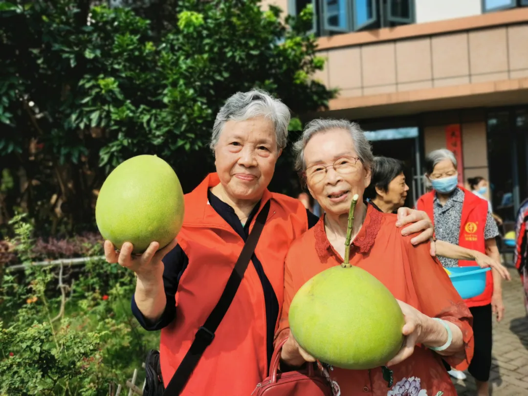 抵不住柚惑！福州这家养老院首届采摘节诞生